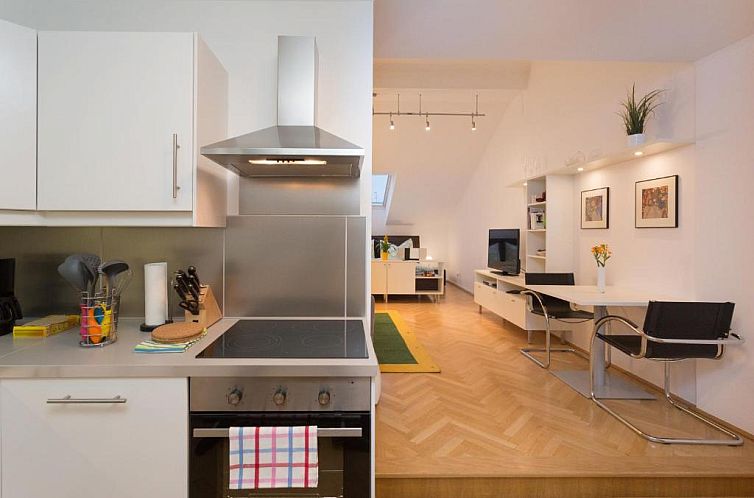 Vienna Apartment 1010