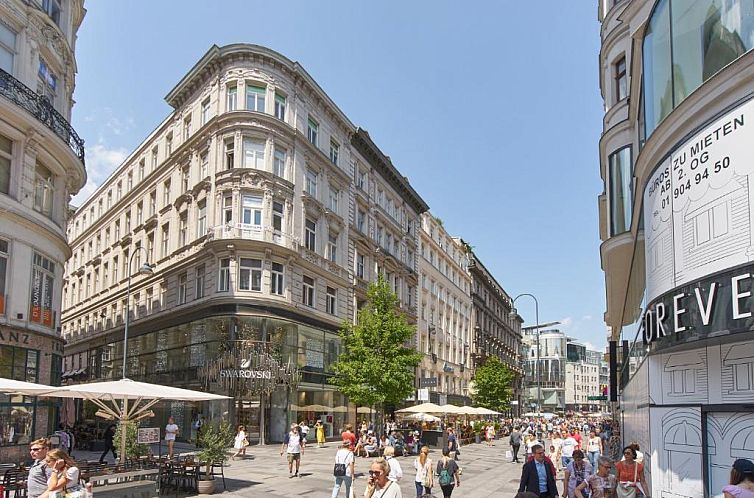 Vienna Apartment 1010