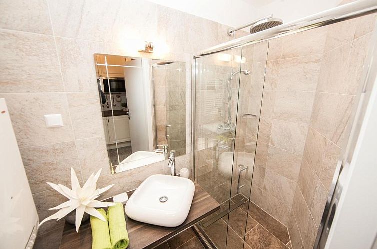 Traditional Apartments Vienna TAV - Entire