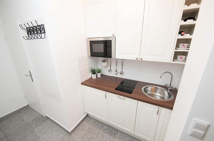 Traditional Apartments Vienna TAV - Entire