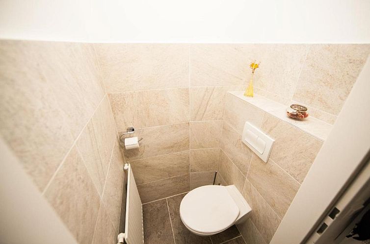 Traditional Apartments Vienna TAV - Entire