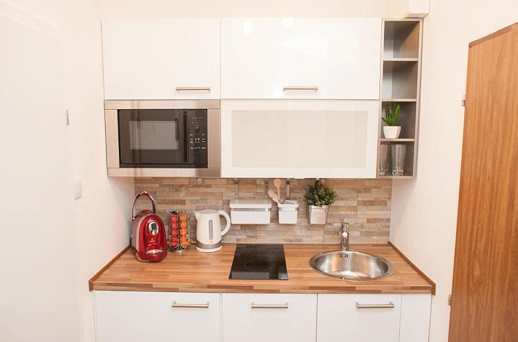 Deluxe Apartment Vienna