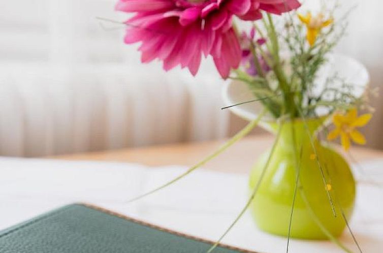 Pension Hotel Mariahilf