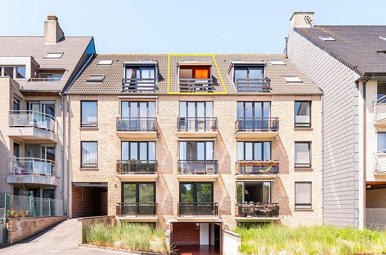 Ardoise des dunes