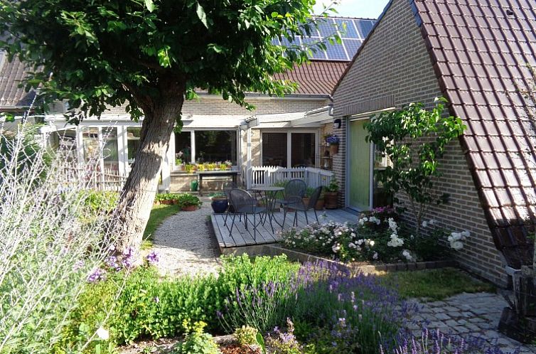 Geniet van de charmante tuin van Bonvena bed and breakfast in Dentergem, West-Vlaanderen.