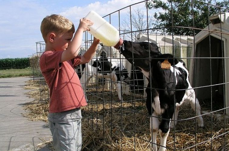 vakantiehoeve briesland