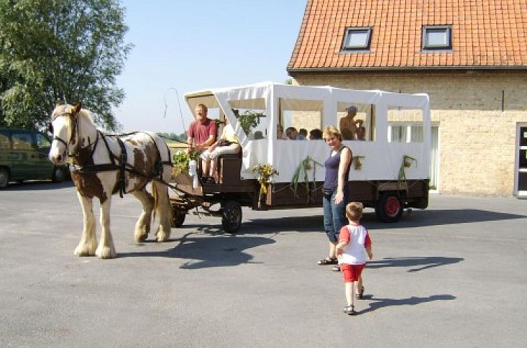 vakantiehoeve briesland