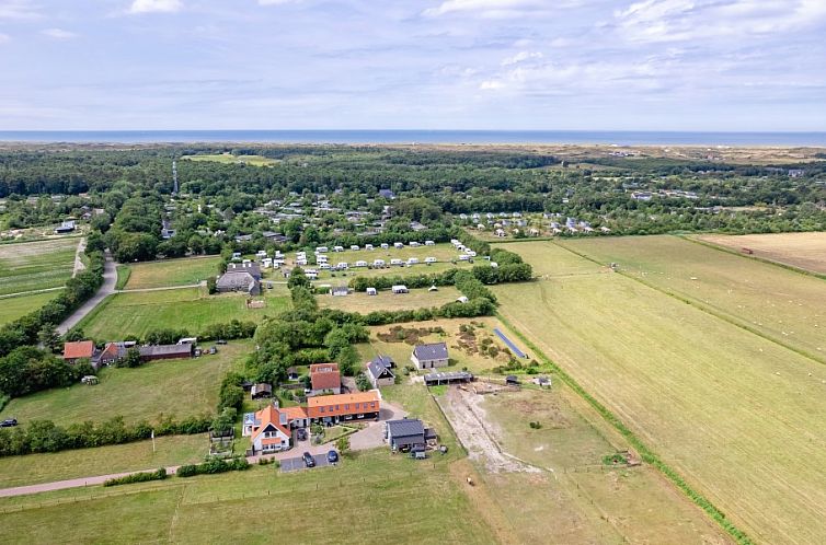 Wulpenweid 14 Zeehond