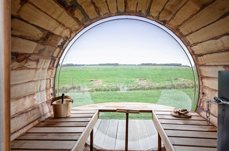 Wulpenweid 14 Zeehond