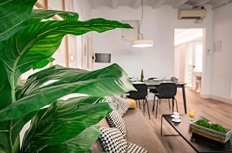 Habitat Apartments Born