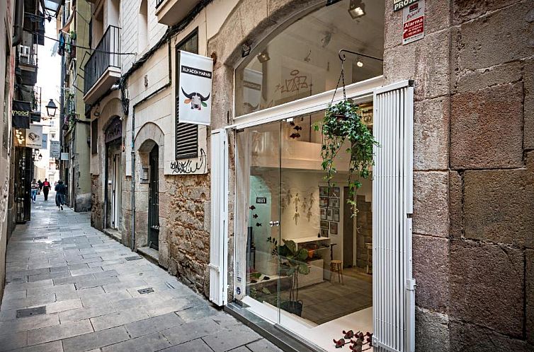 Habitat Apartments Born