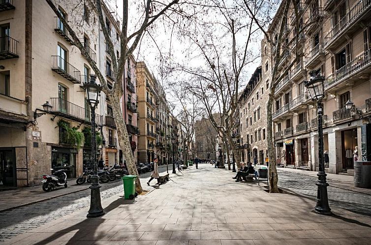 Habitat Apartments Born