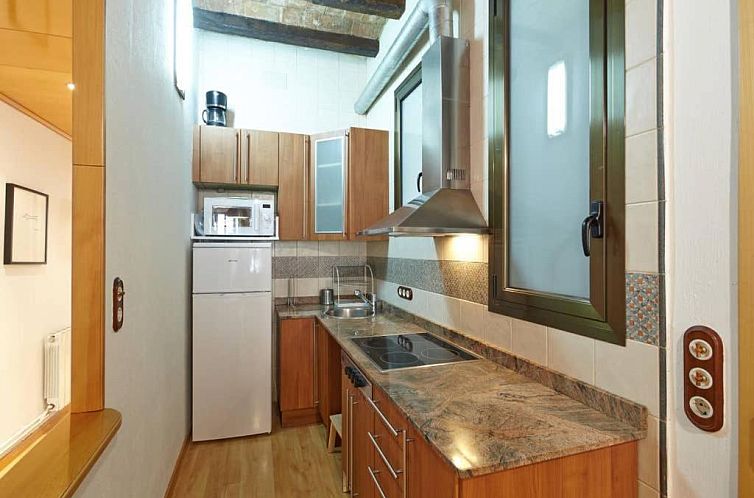 Beautiful apartment in Eixample