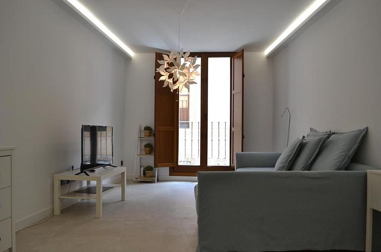 Apartamentos Suites&Homes