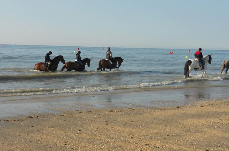 Duinendaele aan zee