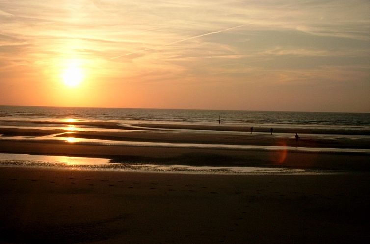 Duinendaele aan zee