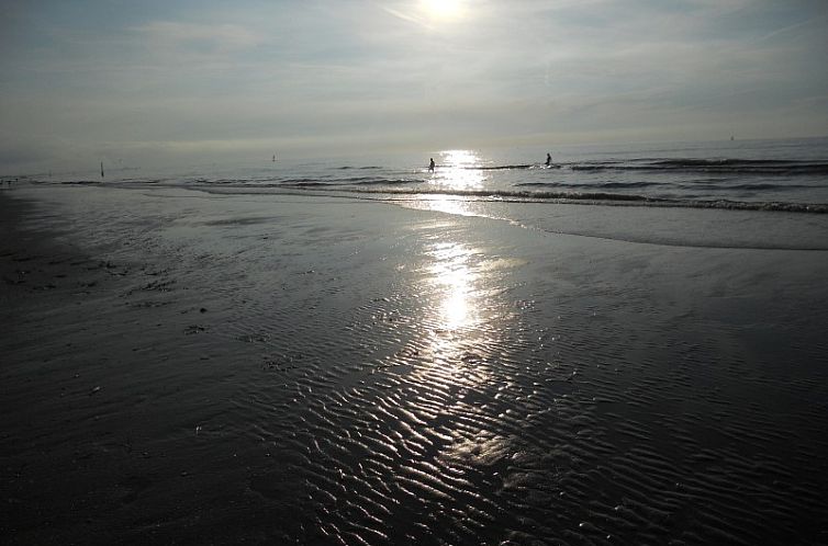 Duinendaele aan zee