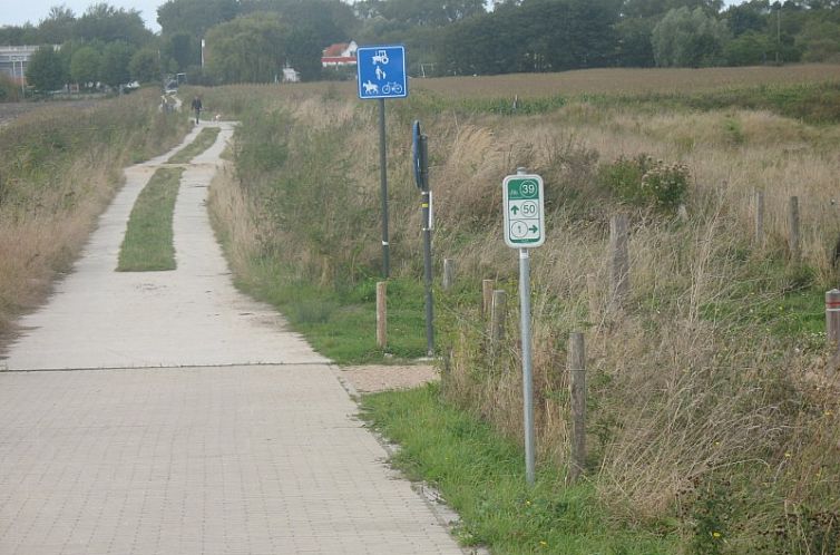 Duinendaele aan zee