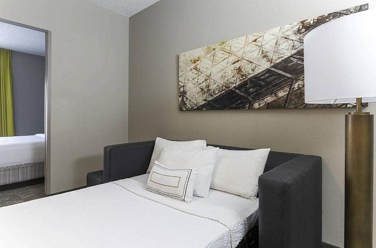 SpringHill Suites by Marriott Austin Parmer/Tech Ridge