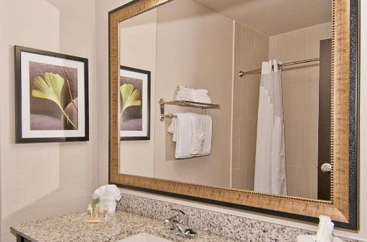 Holiday Inn Austin Airport, an IHG Hotel