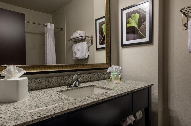 Holiday Inn Austin Airport, an IHG Hotel