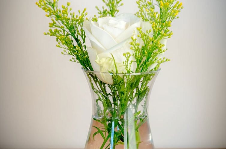 Vakantiehuis in Torhout