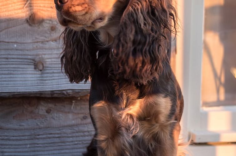 Vakantiehuis in Torhout