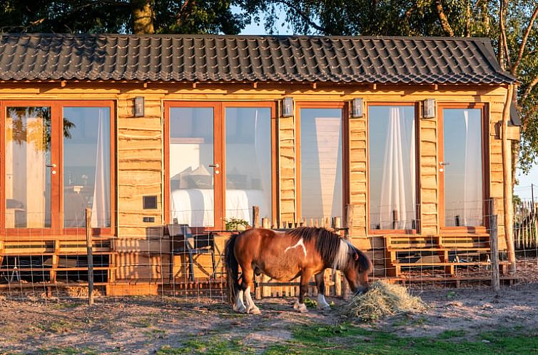 Huisje in Torhout, vakantiehuis met houten gevel en paard, gelegen in Torhout, West-Vlaanderen, Belgie.