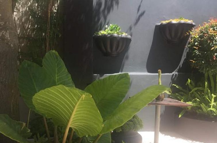 Little Scotia Urban Hotel