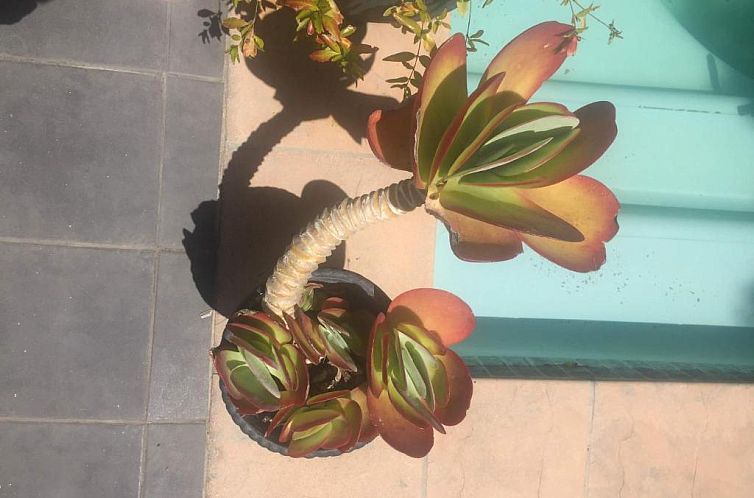 Little Scotia Urban Hotel