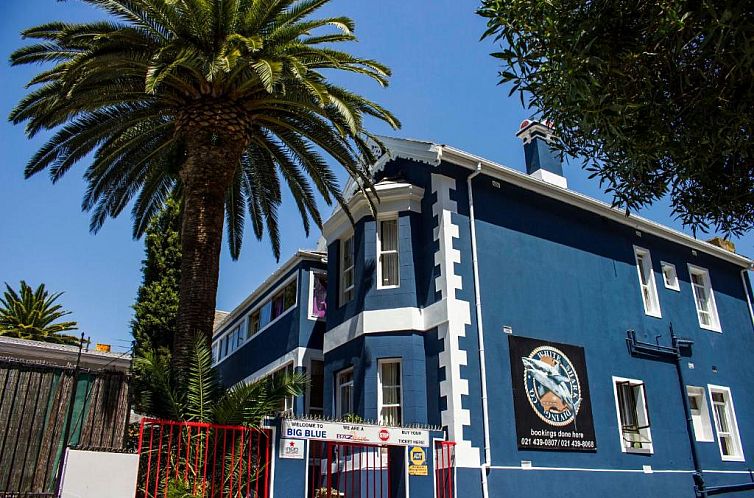 Unterkunft 01272292 - Appartement West-Kaap - Big Blue Backpackers