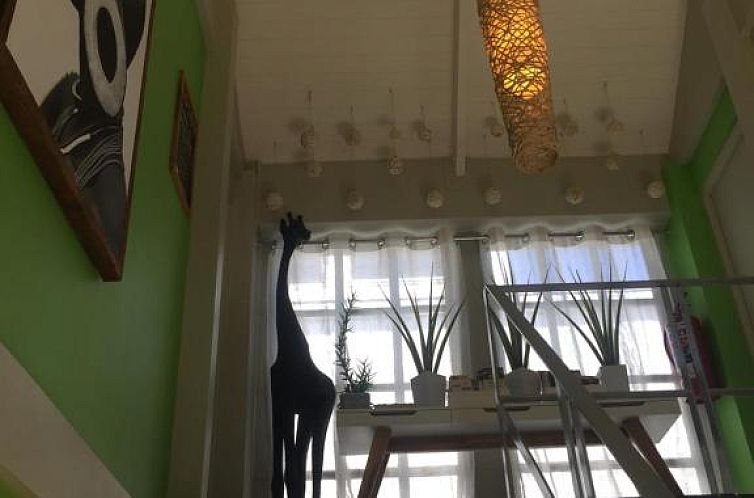 Man And Tree House