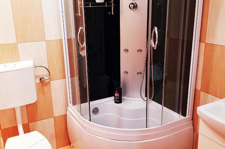 Pensiunea Red Rose Apartments