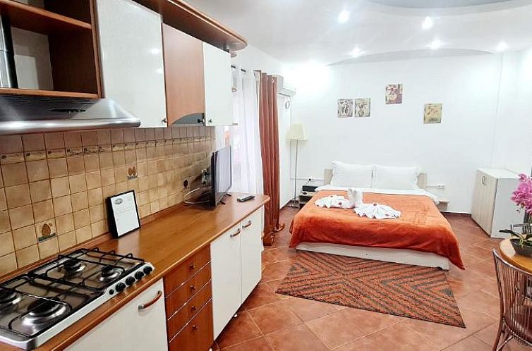 Pensiunea Red Rose Apartments