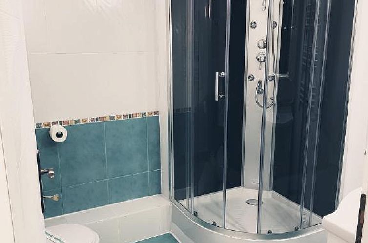 Pensiunea Red Rose Apartments