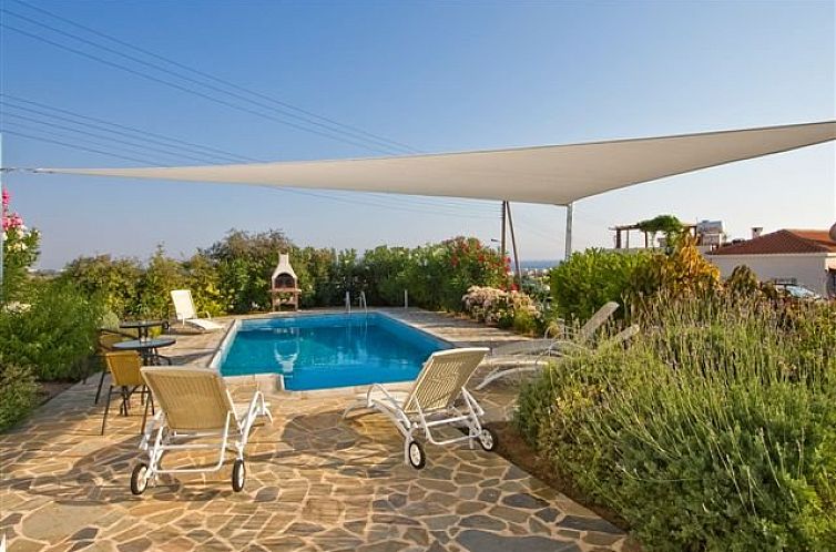Enjoy the sunny patio and swimming pool at Villa Meltemi, a luxury vacation rental in Pafos, Paphos, Cyprus.