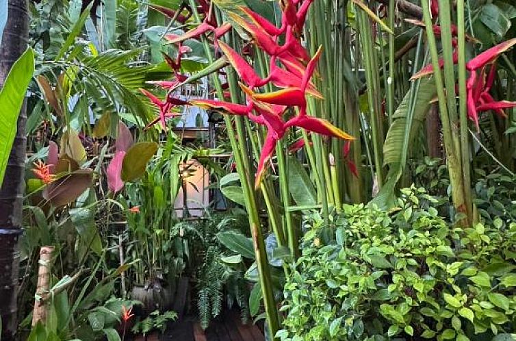 The Twenty Lodge- SHA Extra Plus