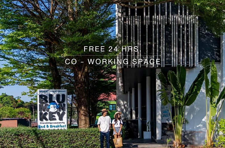Guest house 0130844 - Apartment Southern thailand - Blu Monkey Bed & Breakfast Phuket - SHA Plus
