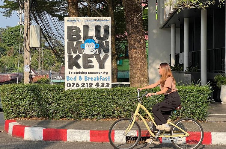 Blu Monkey Bed & Breakfast Phuket - SHA Plus
