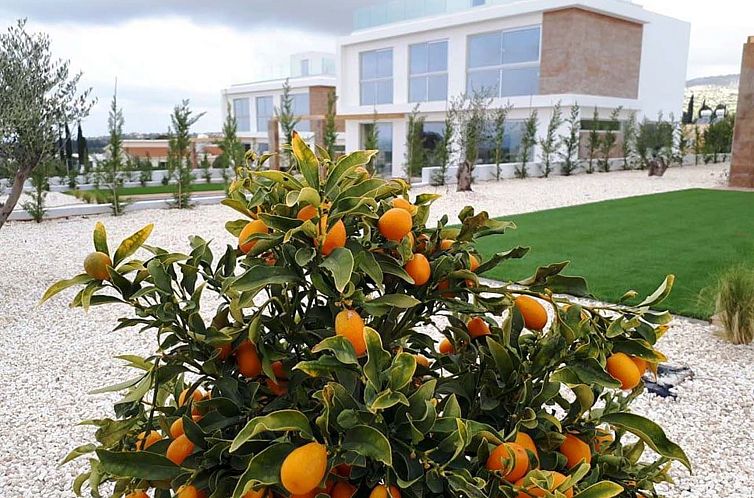 Vakantiehuis Coral Elite Residence mit Pool und Whirlpool