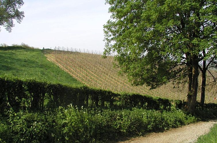 Bed en Breakfast Hof van Wolder