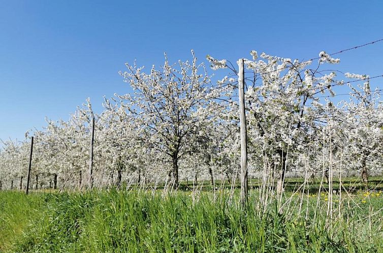 Bed en Breakfast Hof van Wolder
