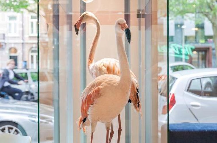 The Dutch Maastricht