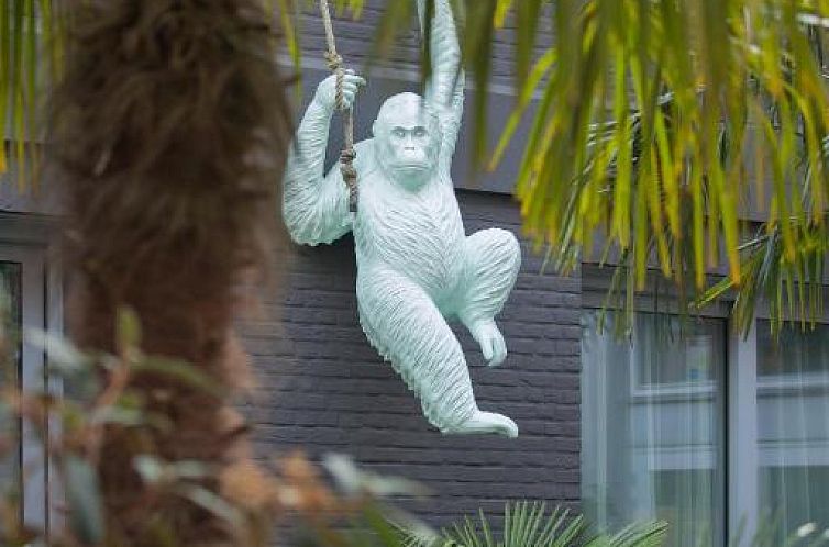 The Dutch Maastricht