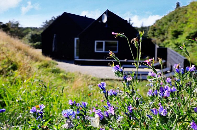 Holiday home in Blokhus