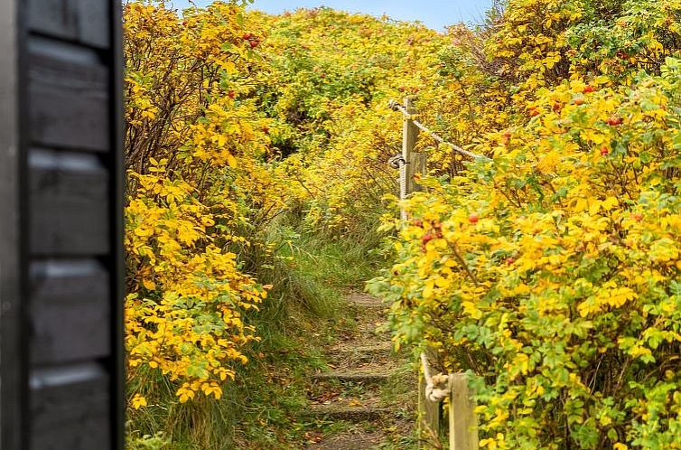 Vakantiehuis "Thorfin" - 300m from the sea