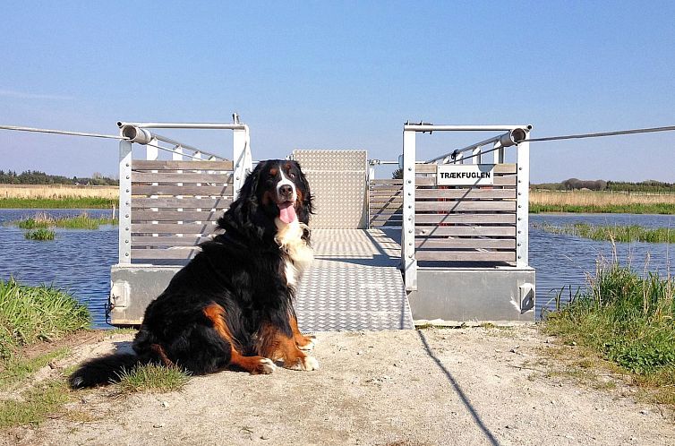 Vakantiehuis "Elis" - 90m to the fjord