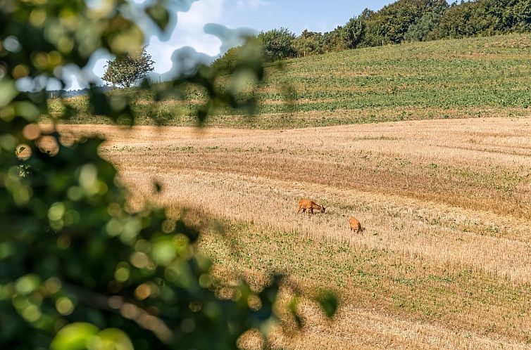 Vakantiehuis "Berner" - 500m to the fjord