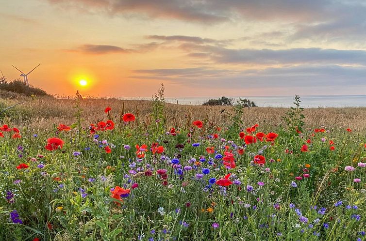 Vakantiehuis "Alkmar" - 75m from the sea