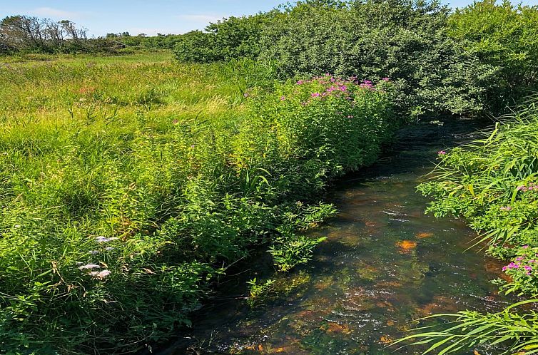 Vakantiehuis "Lökea" - 800m from the sea